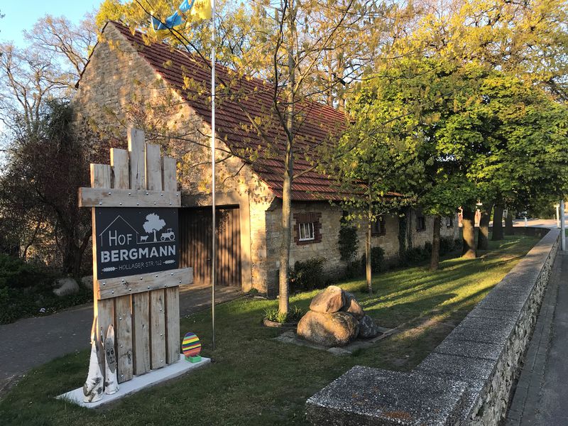 HofBergmann2